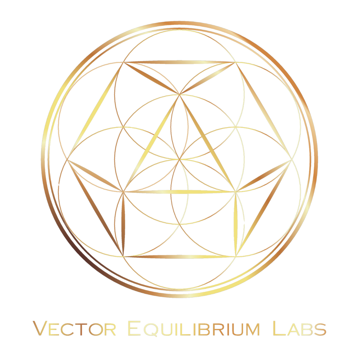 Vector Equilibrium Labs Logo